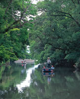 ����쉺��