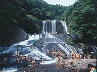 �啪���u����̑�v